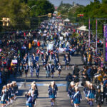 DSC_8180-1536x1025