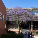 20231113-Fachada-UNSL-primavera-13